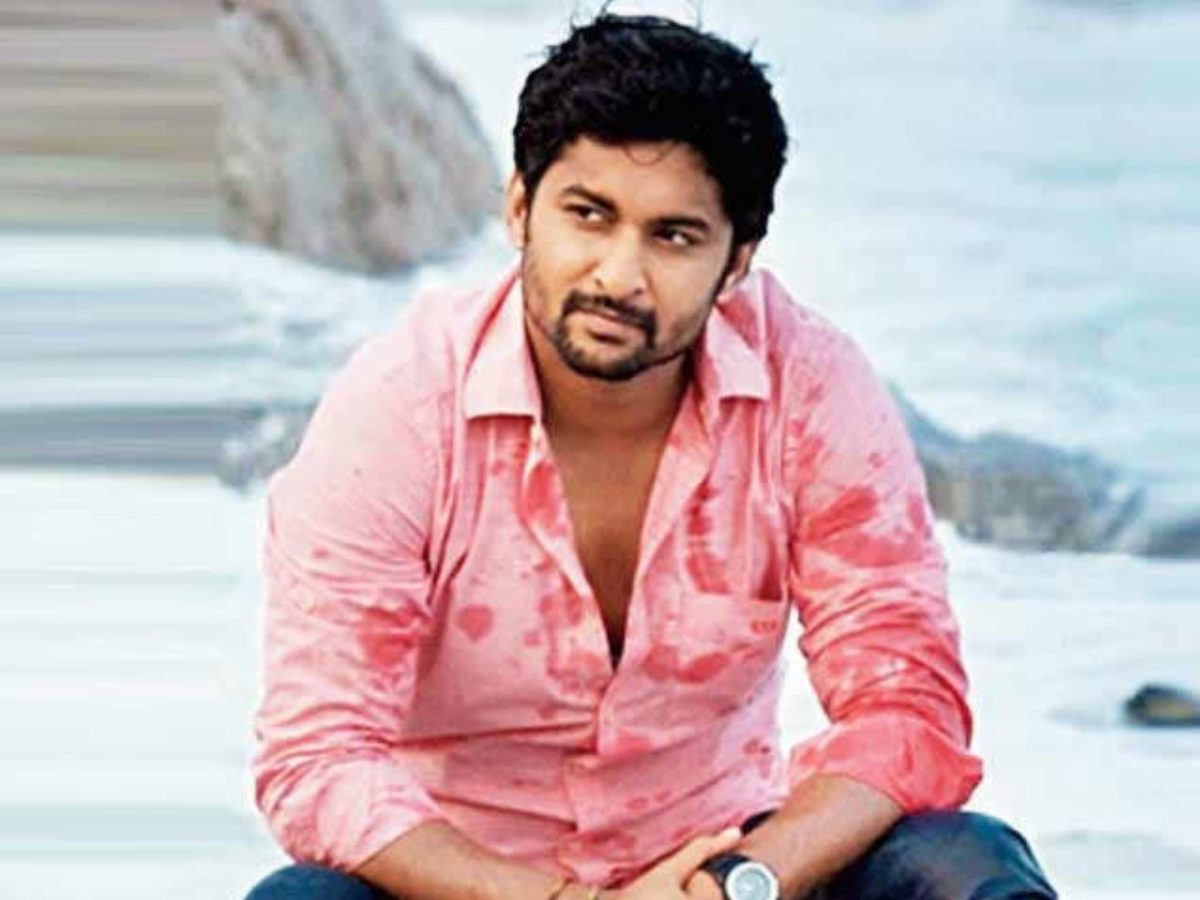 nani movies all nani movies all