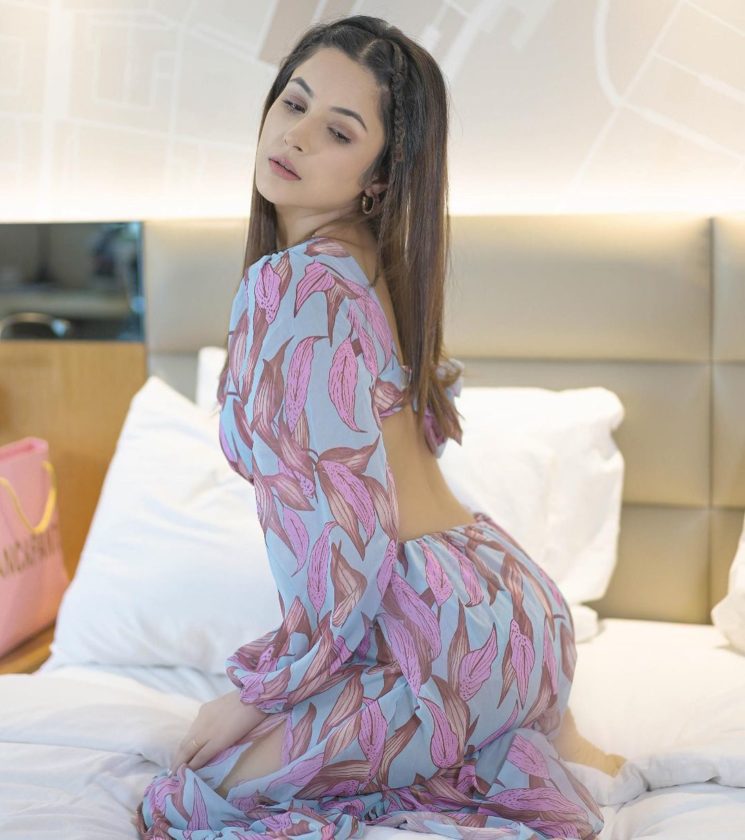 Shehnaaz Gill Cute Hot Gorgeous Pictures